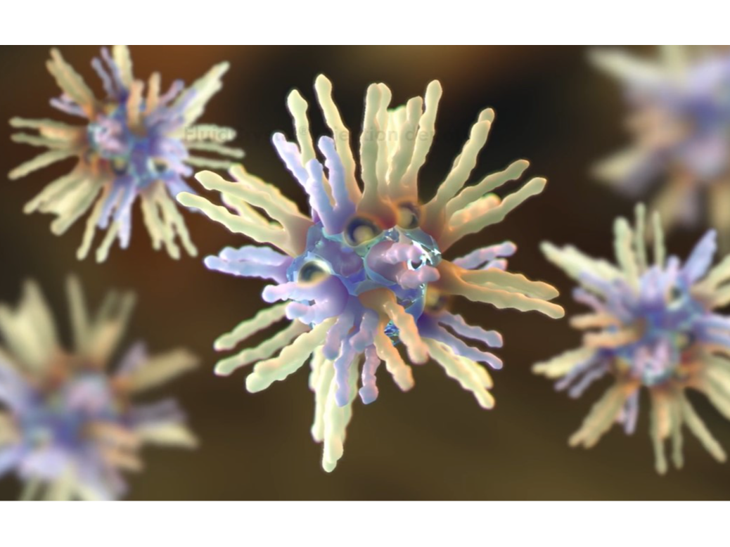 Camurus. (n.d.). Technology. Retrieved June 20, 2024, from https://www.camurus.com/science/technology/.