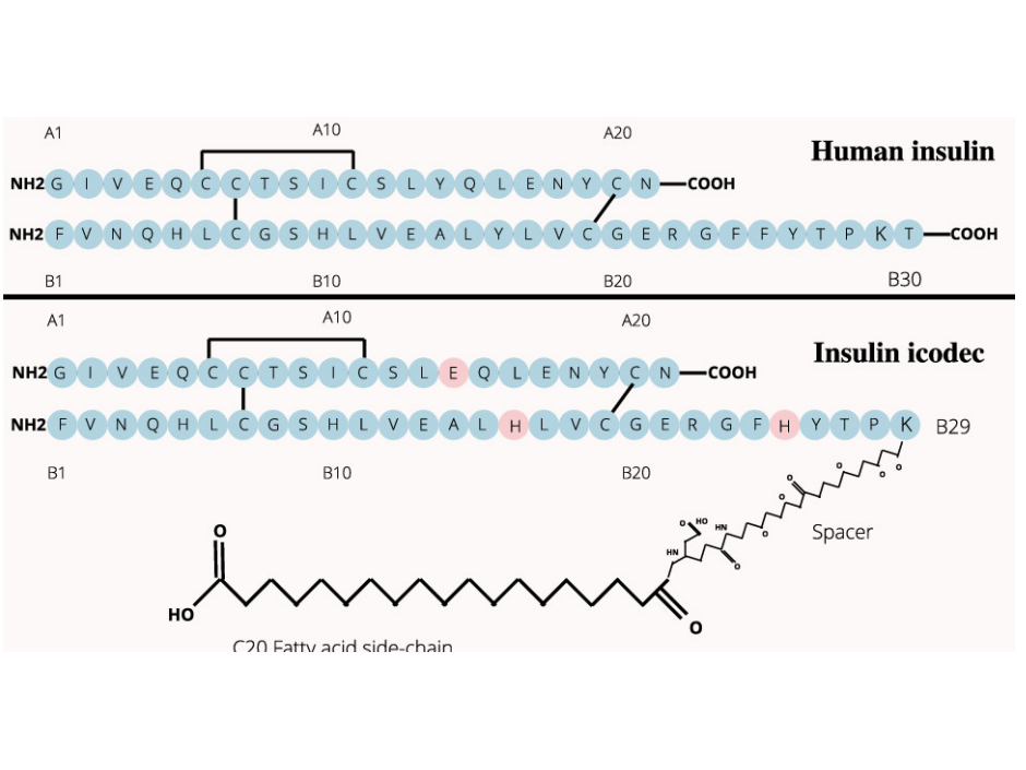 2D structural difference between Insulin and Insulin Icodec
