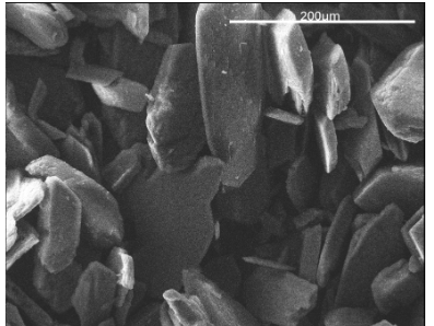 SEM image of TBAJ-587 fumarate, displaying a plate-like morphology