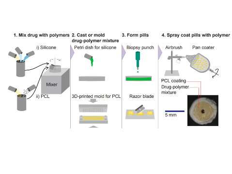 Drug–polymer pills are made by mixing drug with either silicone or PCL and then casting into a Petri dish or a three-dimensional (3D) printed mold.