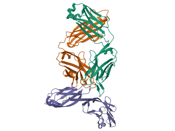 https://doi.org/10.2210/pdb3O2D/pdb