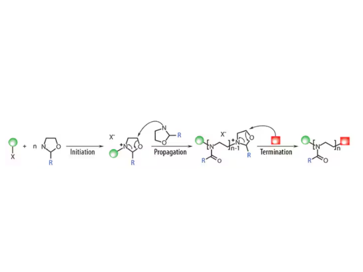 Living Cationic Ring-opening Polymerization of 2-oxazolines. Both alpha and omega termini can be functionalized by the selection of initiator (tosylate in the scheme) and terminating agent.