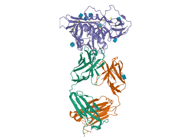 https://doi.org/10.2210/pdb5TE7/pdb