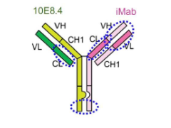 Parsons et al.