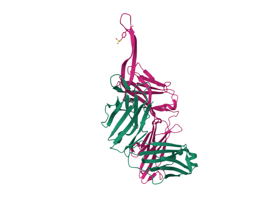 Julien, J.-P., & Wilson, I. A. (2014). Crystal structure of human Fab PGDM1400, a broadly reactive and potent HIV-1 neutralizing antibody [PDB entry 4RQQ]. Protein Data Bank. https://doi.org/10.2210/p