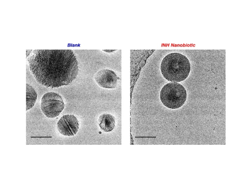 https://pmc.ncbi.nlm.nih.gov/articles/PMC6899522/