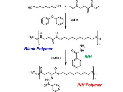 Synthesis of an α-keto polyester by (trans)esterification reaction catalysed by CALB and conjugation to isoniazid (INH).