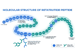 Peptide Protocol Wiki