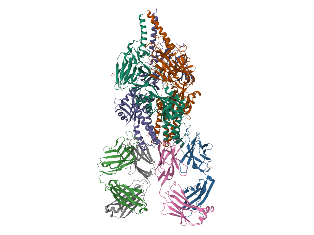 https://doi.org/10.2210/pdb5UDD/pdb