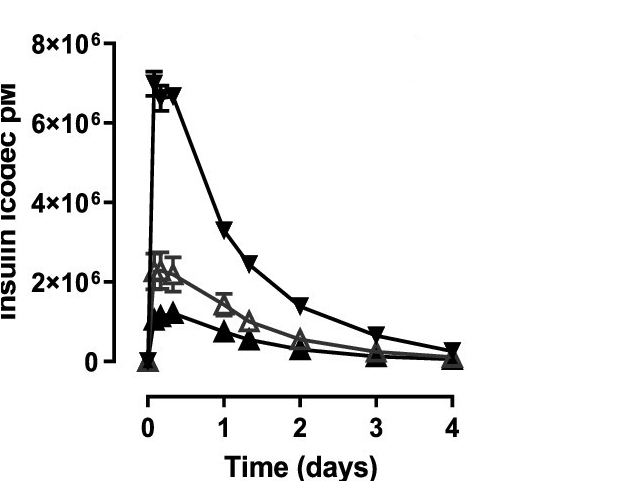 Insulin icodec concentration Vs time curve