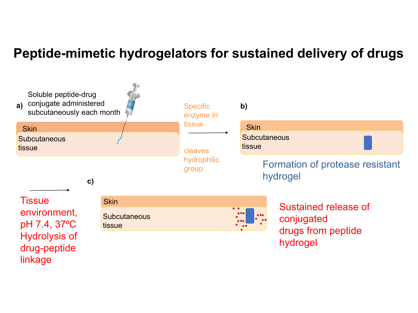 Concept peptide-like/peptide-mimetic hydrogels as long-acting injectable drug delivery systens