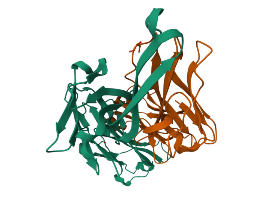 Zhou, T., Georgiev, I., Wu, X., Yang, Z. Y., Dai, K., Finzi, A., ... & Kwong, P. D. (2013). Crystal structure of human Fab PGT121, a broadly reactive and potent anti-HIV-1 antibody
